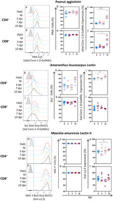 α2,6 sialylation distinguishes a novel active state in CD4+ and CD8+ cells during acute Toxoplasma gondii infection